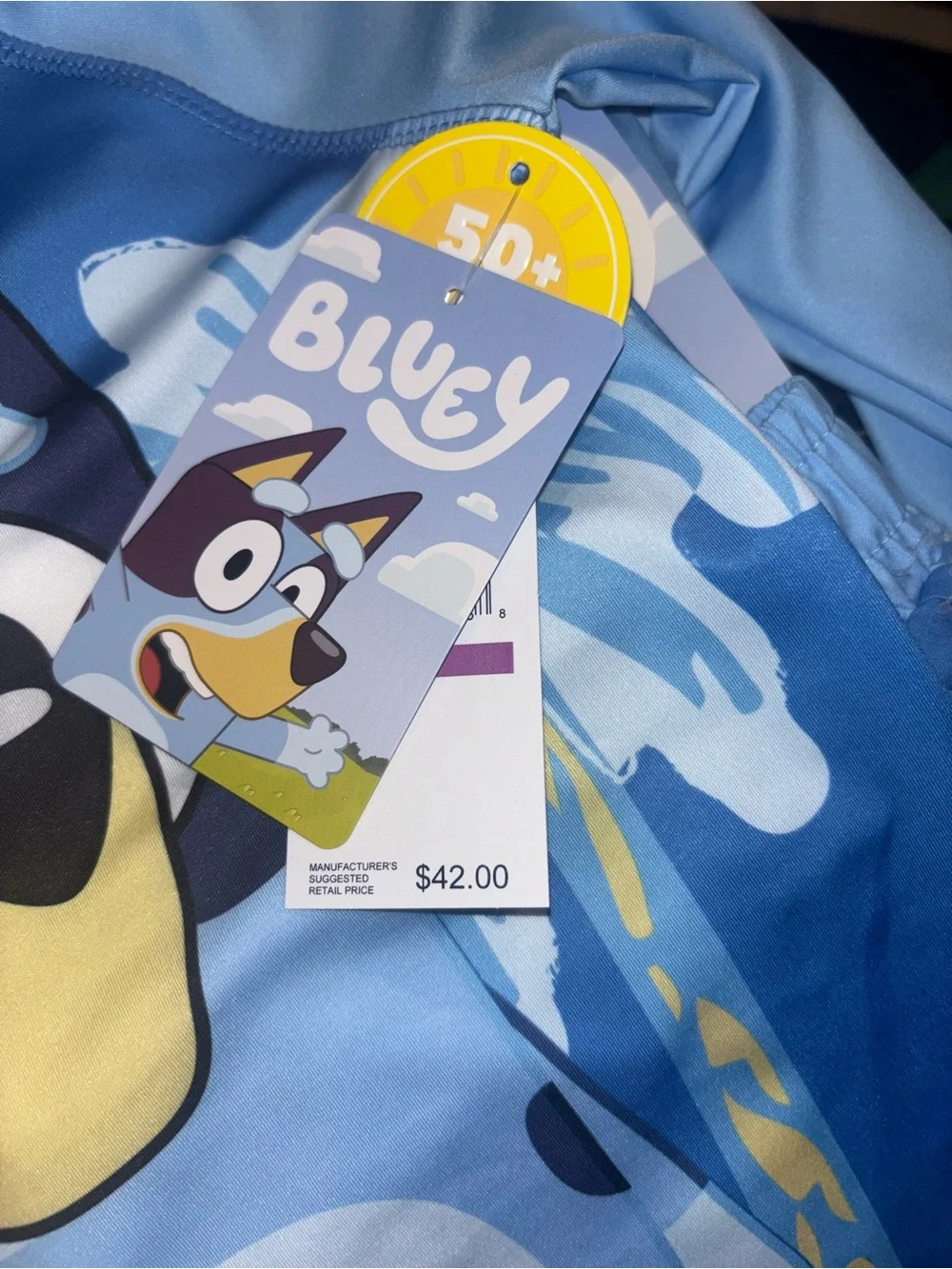 Bluey Boys Kids Rash Guard Set 2 pc Long sleeve Shirt & Swim Trunks Bathing Suit